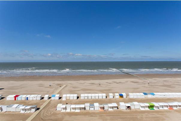 Apartment Vue Sur Mer Бланкенберге Екстериор снимка